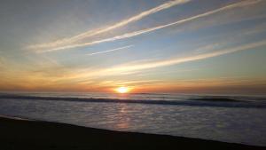 Joli T2 38 m2 rénové idéalement situé