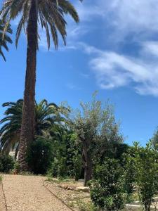 Cannes 2 pieces de 49 m2 ,piscine. Jardin privatif