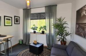 Have a nice stay! - Studio tussen de bossen en de bollenvelden