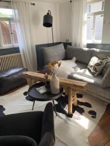 Nibelungen Odenwaldhaus