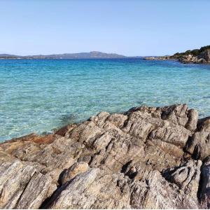 Coralli 8 - Residence Sole Ruju img2