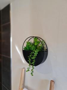 Hotels Hotel Le C - Boutique Hotel : photos des chambres