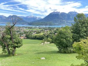 Appartements Le Grand Praz bas : photos des chambres