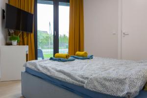 SURFHOUSE Gdańsk Oliwa