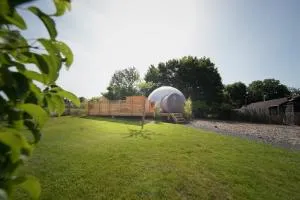 Bulles Odette & Ginette et Tiny House Suzette "Au guet Marais" Etape Insolite - Carlsbourg