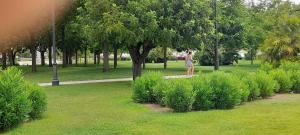 Via Genova Apartment img34