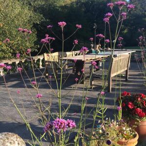 Romantic, secluded cottage in Cardinham Woods, Cornwall