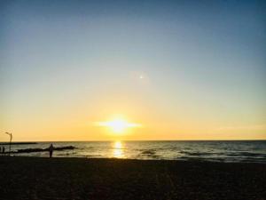 Apartament Mali i Robit