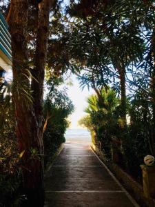 Apartament Mali i Robit