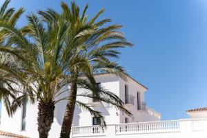 Phi Hotel Sighientu img13