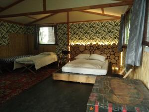 Campings tik'ys lodge : photos des chambres