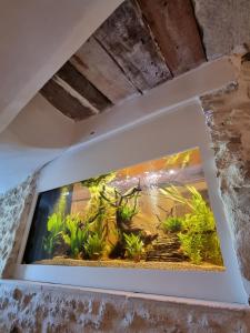 Maisons de vacances Maison au centre du village de Gordes avec vue incroyable : photos des chambres