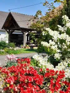 Meublé tout confort à la campagne - Menchhoffen