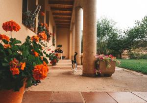 Casa de Campo La Solana