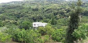 Casa verde ver