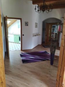 Aussergewöhnliche Atelierferienwohnung mit Balkon an der Donau