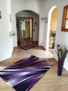 Aussergewöhnliche Atelierferienwohnung mit Balkon an der Donau