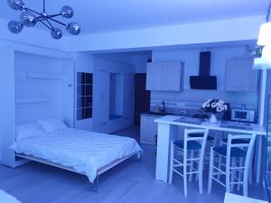 Delux Studio Mamaia Nord