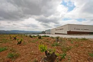 Hotel TIERRAS DE CEBREROS - Piedralaves