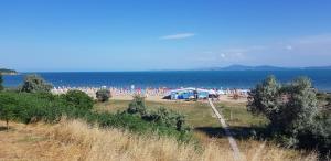 Apartment with green terrace