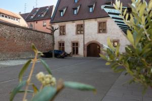 Appartements LE RHENANUS Jacques Spiegel : photos des chambres