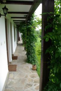 Guest House Dan Kolov