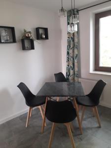 Apartament Wiżajny