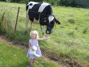 Maisons de vacances Somme Farmhouse and Barn : photos des chambres