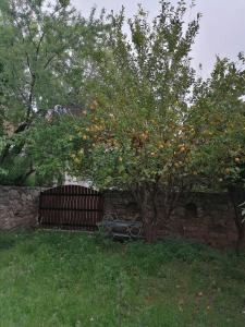 Large Stone Villa with garden.