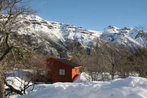 Don Guillermo Cabins