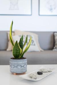 White Pearl Villa Naxos with Private Swimming Pool