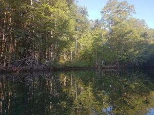 Casapreciosa-LasLajas