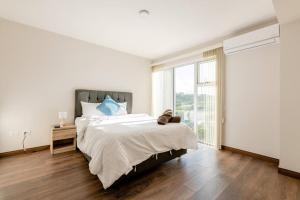 New & Modern APT - 100 MBPS 15 min from airport