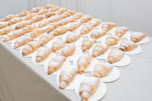 Hotel Elefantino Grey - Free Breakfast & Brunch Until 13-00 - Vicinissimi a Mirabilandia