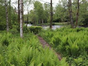 5 person holiday home in KNÄRED-By Traum