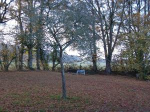 Maisons de vacances Nestling in a beautiful setting on the edge of the Forest of Troncais : photos des chambres