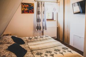 Apartament pod Modrzewiem