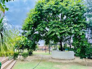 Spring Gardens and Farmstay