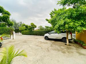 Spring Gardens and Farmstay