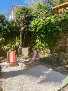 Appartements Gite Le Palmier - Perfectly located cosy studio with private garden : photos des chambres