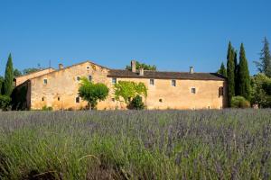 Maisons de vacances Le Mas Reseda : photos des chambres