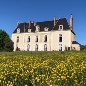 Maisons de vacances Maison de la Tour : photos des chambres