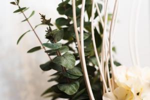 TRINIDAD TRAFALGAR, quiet and nice aprtment in the heart of the Spanish culture