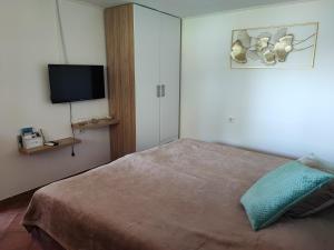 Apartman Dunav 