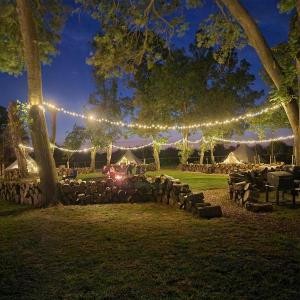 Willow Grove Farm Glamping