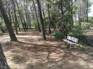 Maisonnette en pleine nature