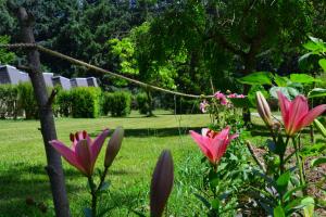 Appartements Les gites de Beille : photos des chambres