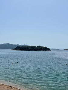 Vila Regina Apartment Regina with Swimming Pool