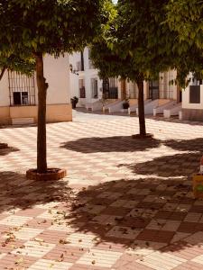 Chipiona Acogedor LA