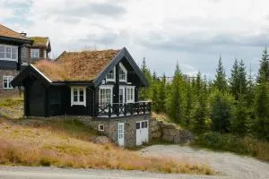 Mosetertoppen Panorama anneks 1B - Koppang